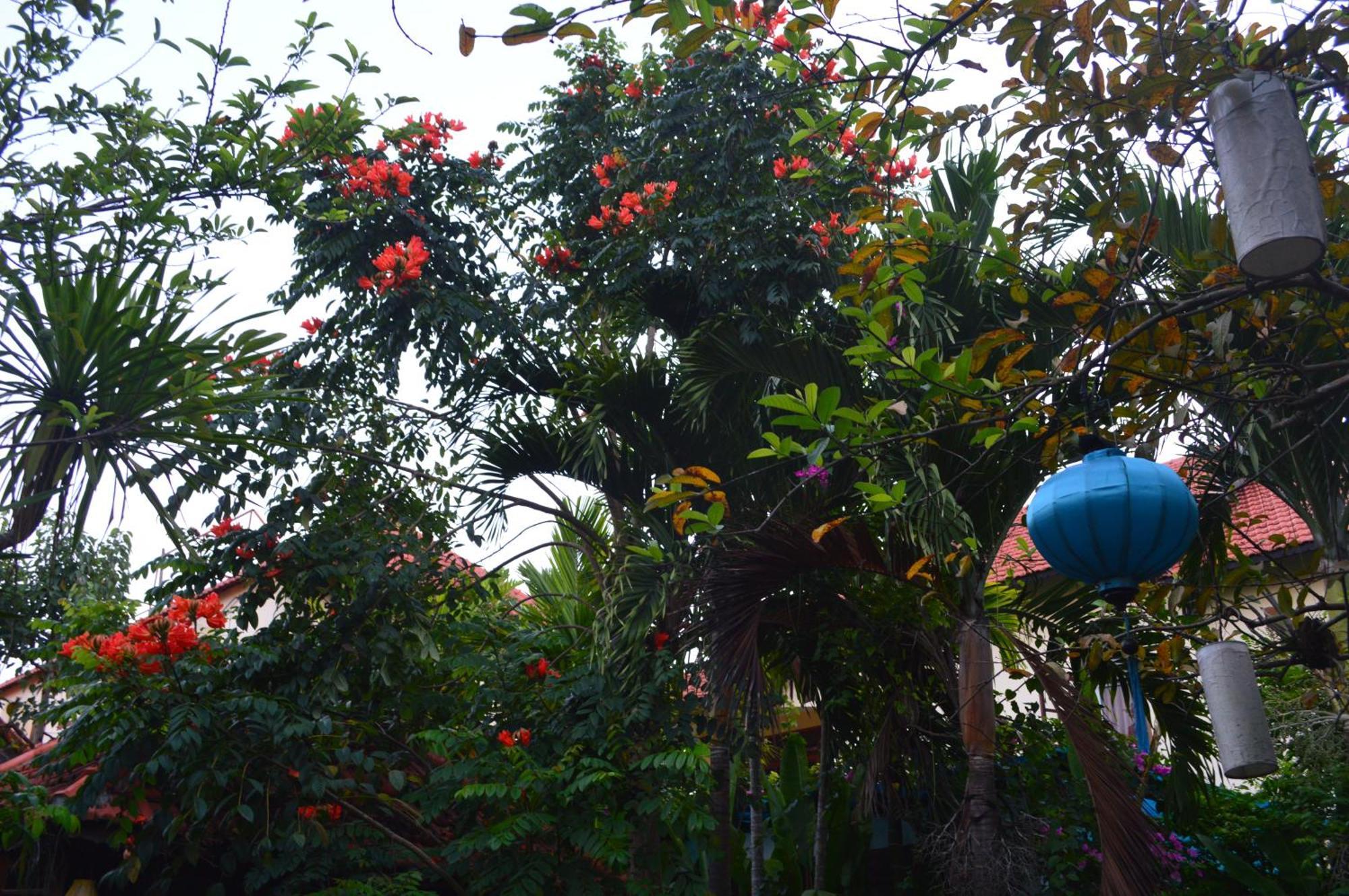 Villa Orchid Garden Riverside Hoi An Luaran gambar