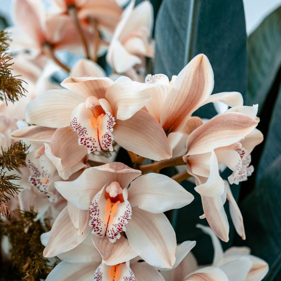 Villa Orchid Garden Riverside Hoi An Luaran gambar